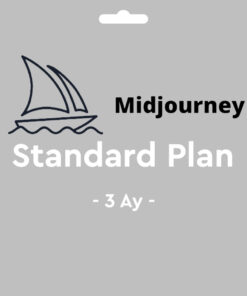 Midjourney 3 Aylık