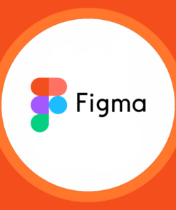 Figma Pro - 2 Yıllık