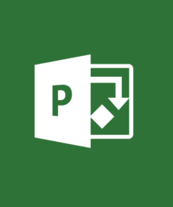 Project Professional 2019 – 2 PC