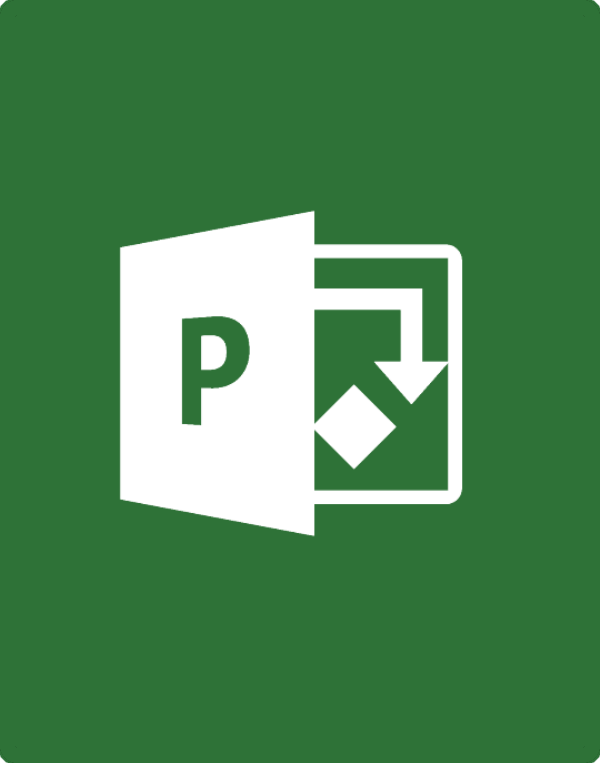 Project Professional 2019 – 2 PC