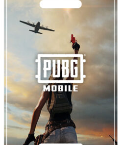 PUBG Mobile 325 UC