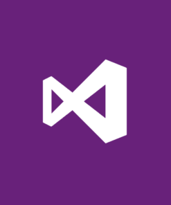 Visual Studio Professional 2019