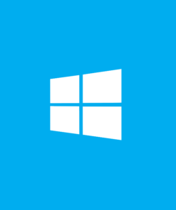 Windows 11/10/8.1 Pro Retail Key